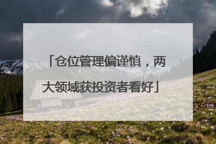 仓位管理偏谨慎，两大领域获投资者看好