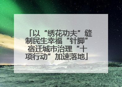 以“绣花功夫”缝制民生幸福“针脚” 宿迁城市治理“十项行动”加速落地