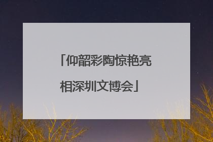 仰韶彩陶惊艳亮相深圳文博会