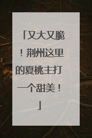 又大又脆！荆州这里的夏桃主打一个甜美！