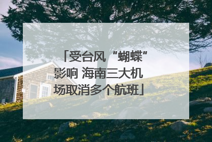 受台风“蝴蝶”影响 海南三大机场取消多个航班
