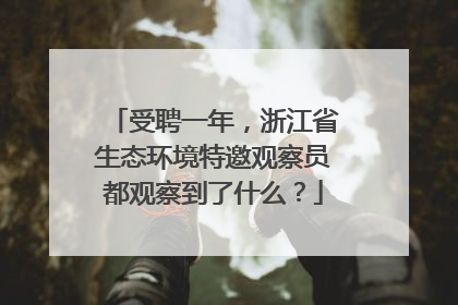 受聘一年，浙江省生态环境特邀观察员都观察到了什么？