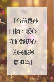 台前县孙口镇：暖心守护践初心 为民服务显担当