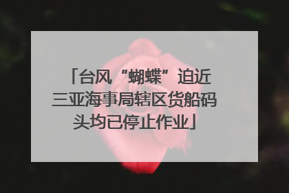 台风“蝴蝶”迫近 三亚海事局辖区货船码头均已停止作业