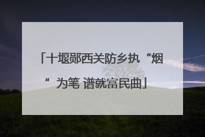 十堰郧西关防乡执“烟”为笔 谱就富民曲