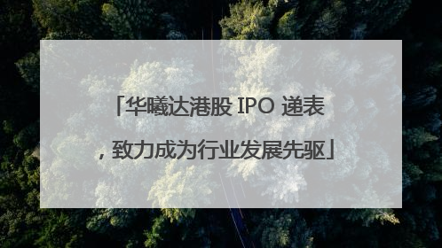 华曦达港股 IPO 递表，致力成为行业发展先驱