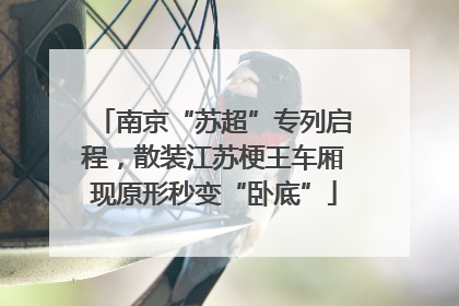 南京“苏超”专列启程，散装江苏梗王车厢现原形秒变“卧底”