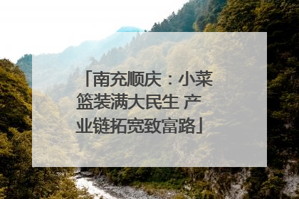 南充顺庆：小菜篮装满大民生 产业链拓宽致富路