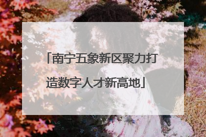 南宁五象新区聚力打造数字人才新高地