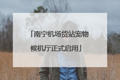 南宁机场货站宠物候机厅正式启用