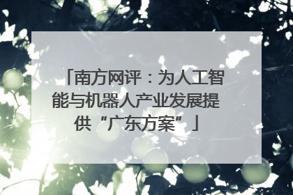 南方网评：为人工智能与机器人产业发展提供“广东方案”