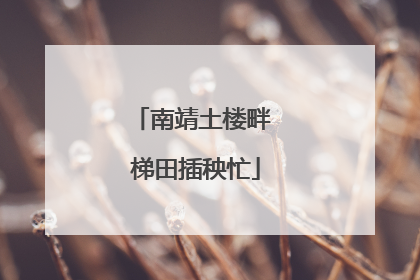 南靖土楼畔 梯田插秧忙