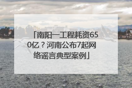 南阳一工程耗资650亿？河南公布7起网络谣言典型案例