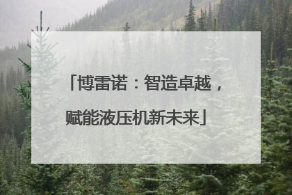 博雷诺：智造卓越，赋能液压机新未来