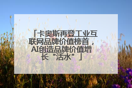卡奥斯再登工业互联网品牌价值榜首，AI创造品牌价值增长“活水”