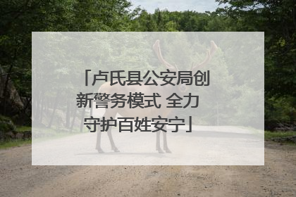 卢氏县公安局创新警务模式 全力守护百姓安宁