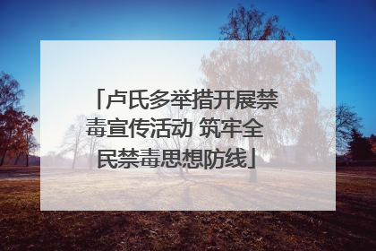 卢氏多举措开展禁毒宣传活动 筑牢全民禁毒思想防线