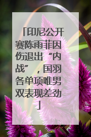 印尼公开赛陈雨菲因伤退出“内战”，国羽各单项唯男双表现差劲