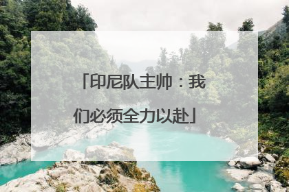 印尼队主帅：我们必须全力以赴