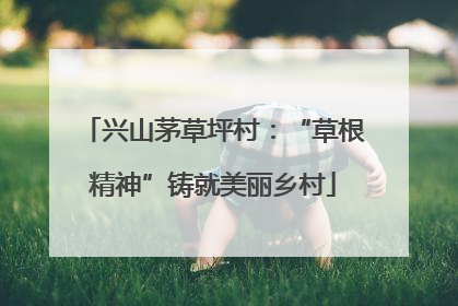 兴山茅草坪村：“草根精神”铸就美丽乡村