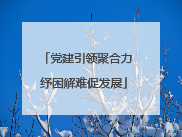 党建引领聚合力 纾困解难促发展