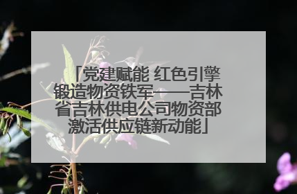 党建赋能 红色引擎锻造物资铁军——吉林省吉林供电公司物资部激活供应链新动能