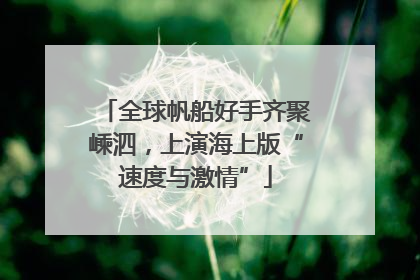 全球帆船好手齐聚嵊泗，上演海上版“速度与激情”