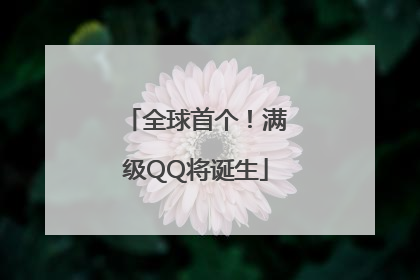 全球首个！满级QQ将诞生