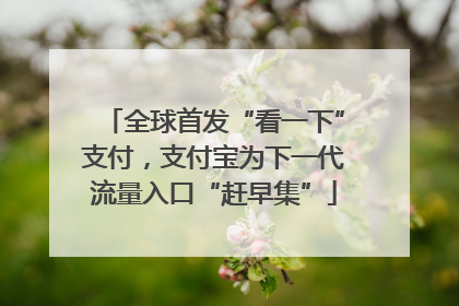 全球首发“看一下”支付，支付宝为下一代流量入口“赶早集”
