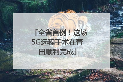 全省首例！这场5G远程手术在青田顺利完成