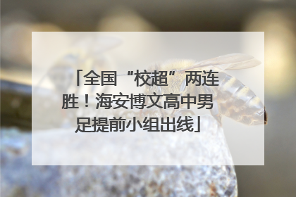 全国“校超”两连胜！海安博文高中男足提前小组出线
