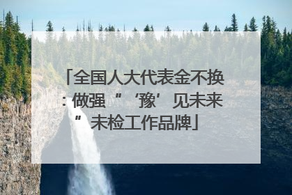 全国人大代表金不换：做强“‘豫’见未来”未检工作品牌