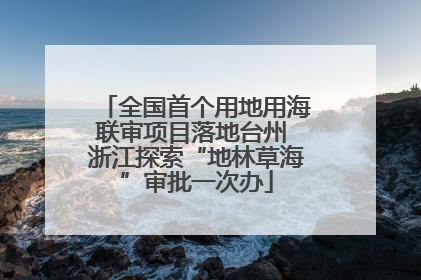 全国首个用地用海联审项目落地台州 浙江探索“地林草海”审批一次办