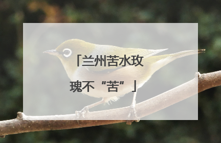 兰州苦水玫瑰不“苦”