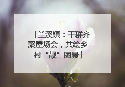 兰溪镇：干群齐聚屋场会，共绘乡村“靓”图景