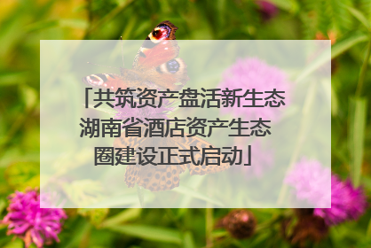 共筑资产盘活新生态 湖南省酒店资产生态圈建设正式启动