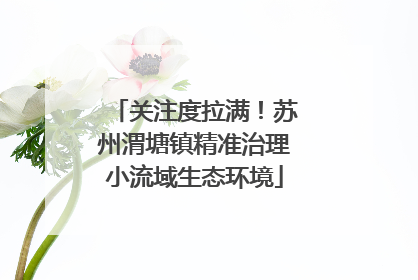 关注度拉满！苏州渭塘镇精准治理小流域生态环境