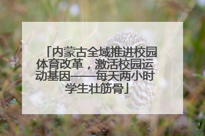 内蒙古全域推进校园体育改革，激活校园运动基因——每天两小时 学生壮筋骨