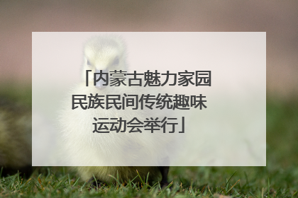 内蒙古魅力家园民族民间传统趣味运动会举行