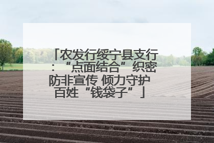 农发行绥宁县支行：“点面结合”织密防非宣传 倾力守护百姓“钱袋子”