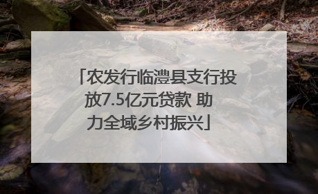 农发行临澧县支行投放7.5亿元贷款 助力全域乡村振兴