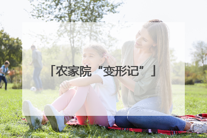 农家院“变形记”