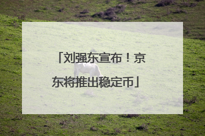 刘强东宣布！京东将推出稳定币