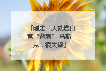 刚走一天就遭白宫“背刺” 马斯克：很失望