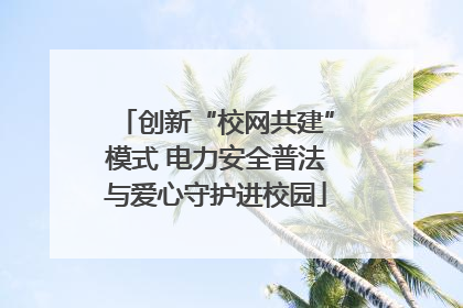 创新“校网共建”模式 电力安全普法与爱心守护进校园