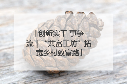 创新实干 事争一流｜“共富工坊”拓宽乡村致富路