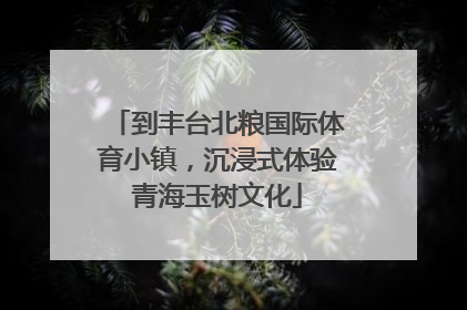 到丰台北粮国际体育小镇，沉浸式体验青海玉树文化