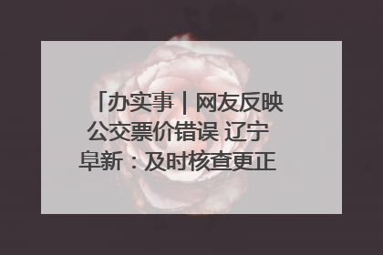 办实事｜网友反映公交票价错误 辽宁阜新：及时核查更正 加强实时巡检