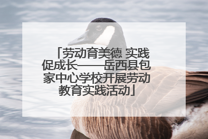 劳动育美德 实践促成长——岳西县包家中心学校开展劳动教育实践活动
