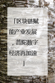区块链赋能产业发展，普陀数字经济再加速